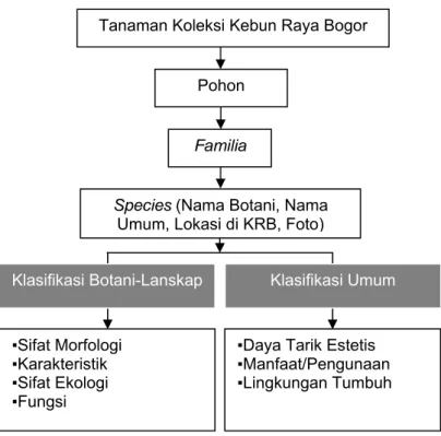 Gambar 7. Model Klasifikasi Pohon Kebun Raya Bogor Tanaman Koleksi Kebun Raya Bogor 