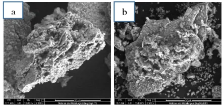 Gambar 13. Partikel magnesium mengalami perubahan 