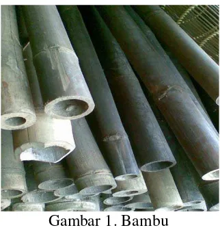 Gambar 1. Bambu 