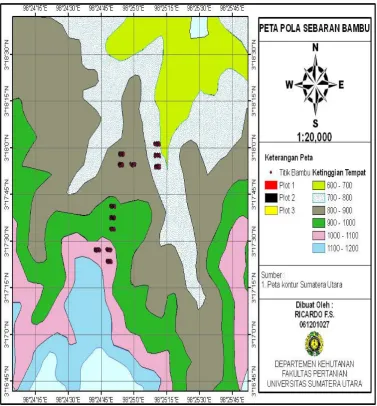 Gambar 4. Peta titik koordinat tanaman bambu 