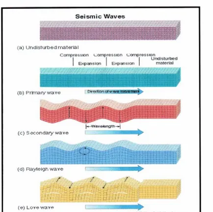 Gambar 1. Tipe-tipe gelombang seismik.           