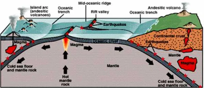 Gambar 3.7. Litosfer muda terbentuk di sistem punggung laut dan dileburkan di parit (zona subduksi)