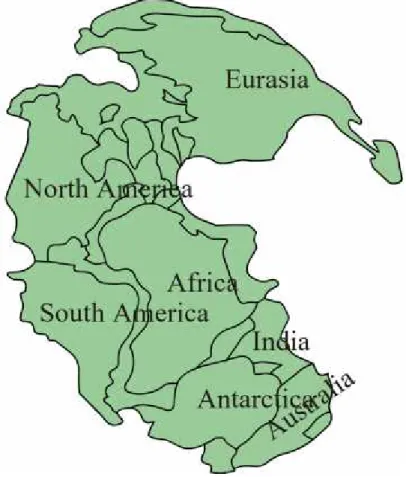 Gambar 3.8. Peta Pangaea yang disesuaikan dengan benua benua sekarang
