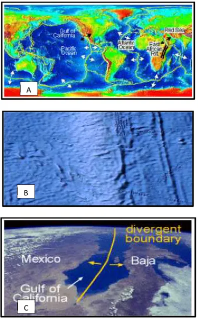 Gambar 3.4. (a). Lempeng tektonik yang utama serta lokasi punggung laut, (b). Punggung laut dilihat dari foto Satelit (sumber: Google Earth)