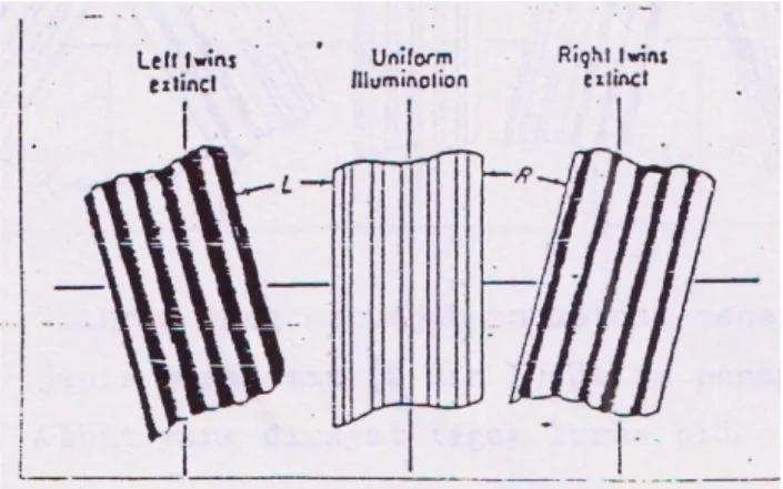 Gambar   8.5   diagram   yang   memperlihatkan   metoda   penentuan   sudut pemadaman   pada   kembar   Albit   yang   disayat   tegak   lurus bidang   (010)   terhadap   mineral   plagioklas,   dengan   Metoda Michel – Levy