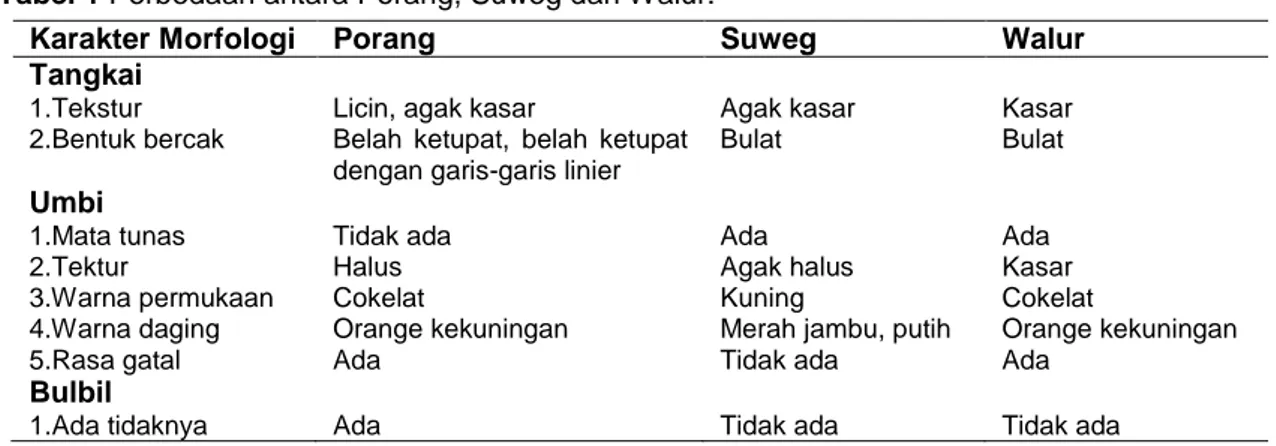 Tabel 1 Perbedaan antara Porang, Suweg dan Walur. 