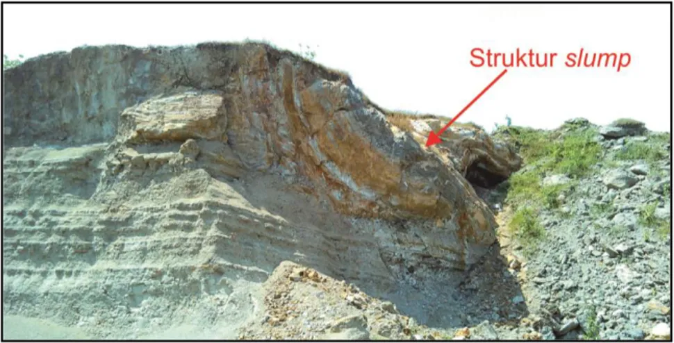 Gambar 5. Kenampakan struktur slump pada fasies mT-gS-sl bagian atas yang berada pada interval  ketebalan 28,5-30,05 meter