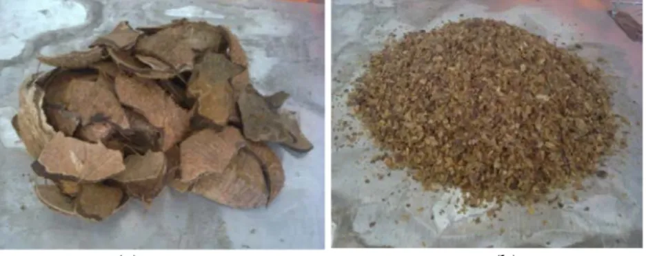 Gambar 3. Biomassa (a)tempurung kelapa (b)cangkang kopi     