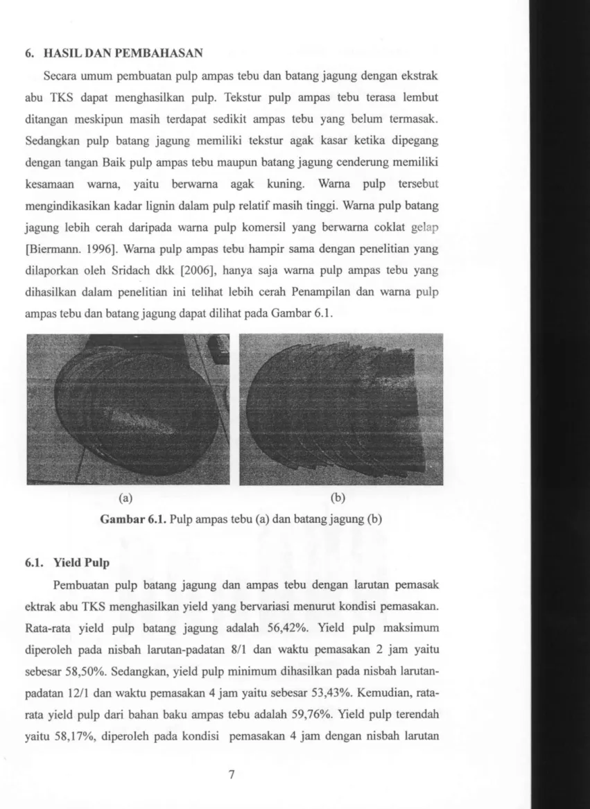 Gambar 6.1. Pulp ampas tebu (a) dan batang jagung (b) 