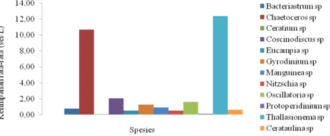 Gambar  2. Komposisi  rata-rata  spesies  fitoplankton  yang  ditemukan  di perairan  Kecamatan  Bungku  Selatan,  Sulawesi  Tengah