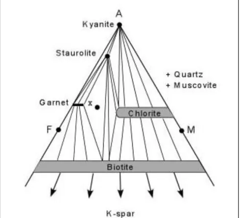 DIAGRAM AFM 