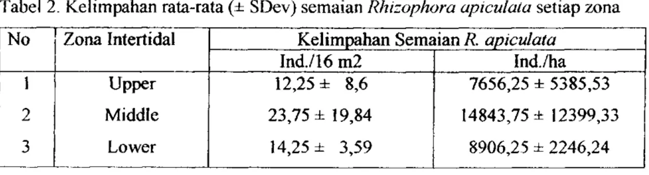 Tabel 2. Kelimpahan rata-rata (± SDev) semaian Rhizophora apiculata setiap zona  No  Zona Intertidal  Kelimpahan Semaian R
