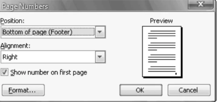 Gambar Kotak Dialog Format Page Number