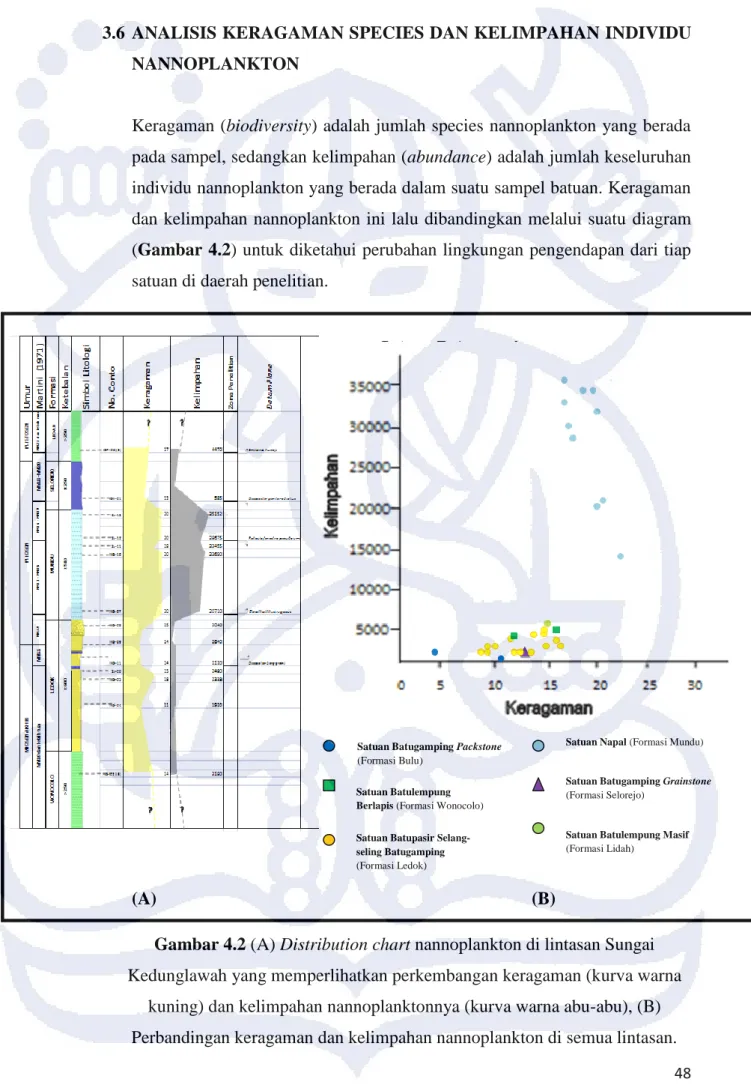Gambar 4.2 (A) Distribution chart nannoplankton di lintasan Sungai  Kedunglawah yang memperlihatkan perkembangan keragaman (kurva warna 