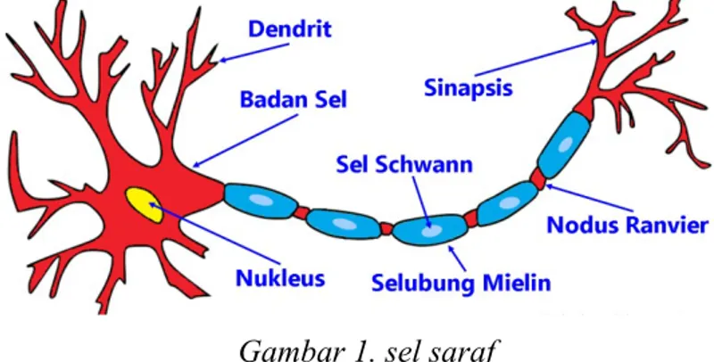 Gambar 1. sel saraf