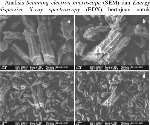 Gambar 2  Bentuk Struvite pada Perbesaran 1500x (a, b) dan 600x (c, d) 