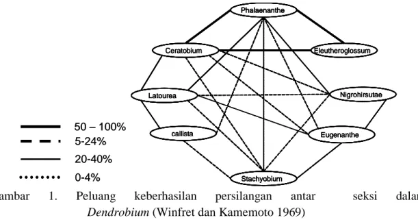 Gambar  1.  Peluang  keberhasilan  persilangan  antar  seksi  dalam                                         Dendrobium (Winfret dan Kamemoto 1969) 