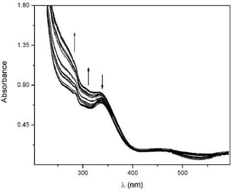 Fig. 11. UV–vis spectra of the NO sequestering complex, trans-[RuCl(cyclam)-(OH2)]2+, during the NO trapping experiment, as a function of time of irradi-ation of SiO2/RuNO.