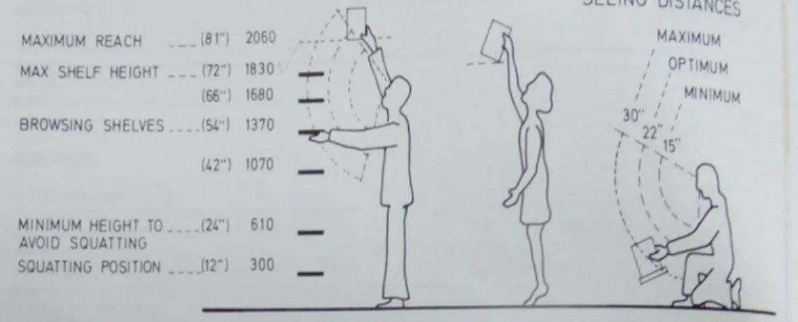 Gambar 2.15  Ketinggian Rak Buku Dewasa  Sumber: Thompson (1989)