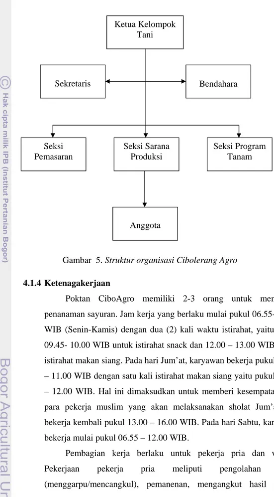 Gambar  5. Struktur organisasi Cibolerang Agro  4.1.4 Ketenagakerjaan  