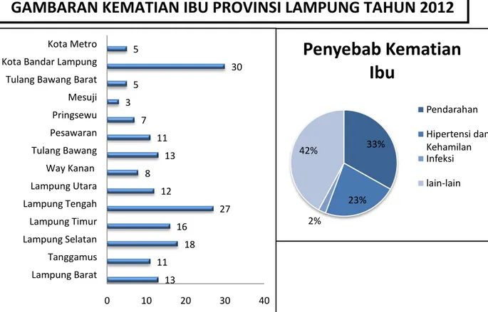 Gambar 1. Gambaran Kematian Ibu Provinsi Lampung Tahun 2012  Sumber : www.depkes.go.id, 2015 