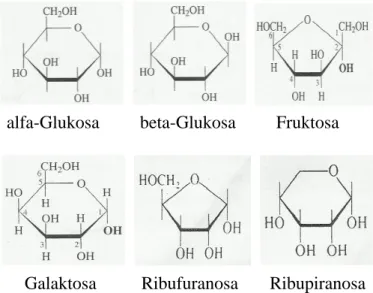 Gambar 6. Struktur kimia monosakarida jenis alfa-glukosa, beta-glukosa,  fruktosa, galaktosa, ribufuranosa, dan ribupiranosa 