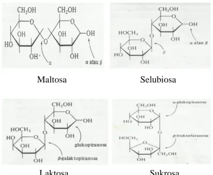 Gambar 7. Struktur kimia disakarida jenis maltosa, selubiosa, laktosa, dan sukrosa    