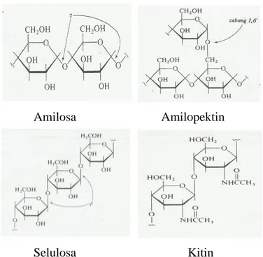 Gambar 9. Struktur kimia polisakarida jenis amilosa, amilopektin, selulosa, dan  kitin 