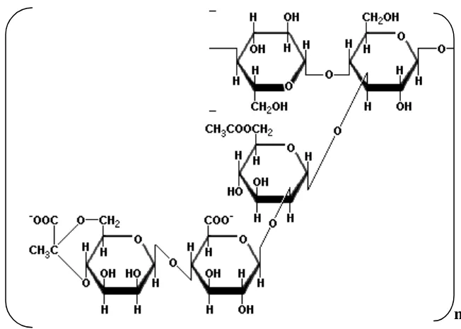Gambar 3. Struktur kimia gum arab (Williams dan Phillips, 2004) 