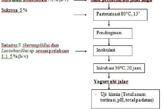 Gambar 2.Diagram alir pembuatan yogurt ubi jalar ungu (Ipomoea batatas, L.)  Streptococcus  thermophillus  FNCC  0041 