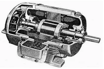 Gambar- 2.4 Konstruksi Motor Induksi Rotor Sangkar      