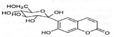 Gambar 2.2 Ikatan karbon-karbon antara gula dan cincin aromatik 