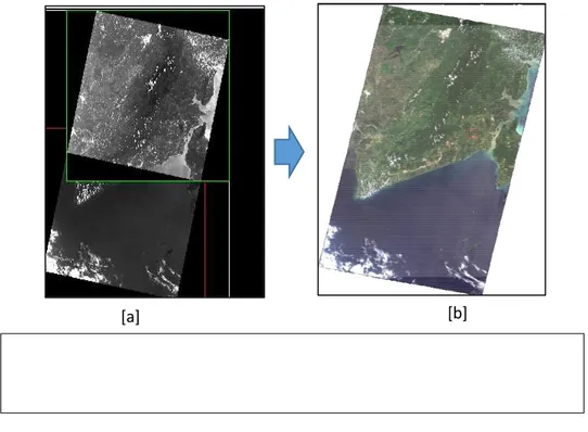 Gambar 2.2  [a] 2 scene citra landsat (L8 OLI/TIRS) hasil download di situs  USGS  yang  bertampalan  dan  belum  ter-mosaic