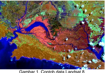 Gambar 1. Contoh data Landsat 8 