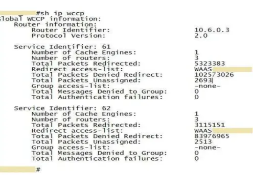 Gambar 4.5: Tampilan show ip wccp pada BRANCH Router  Berdasarkan  hasil  output  gambar  4.5,  parameter  Service  Identifier:  61 