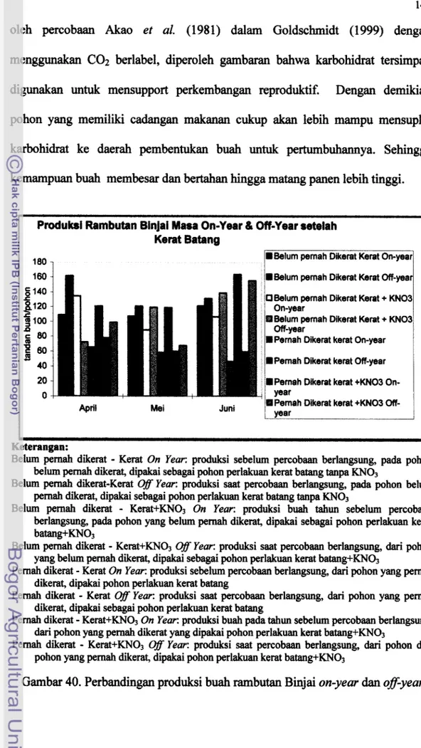 Gambar 40. Perbandingan produksi buah rambutan Binjai on-year dan off-year 