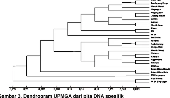 Gambar 3. Dendrogram UPMGA dari pita DNA spesifik 