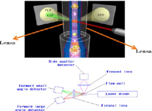 Gambar 3. Metode Flowcytometry