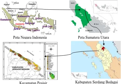 Gambar 1.  Peta Wilayah Kecamatan Pesisir Kabupaten Serdang Bedagai 