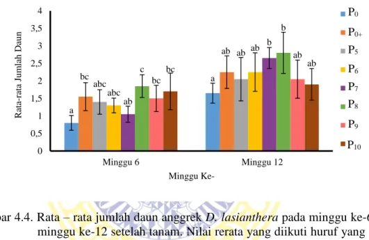 Gambar 4.4. Rata – rata jumlah daun anggrek D. lasianthera pada minggu ke-6 dan  minggu ke-12 setelah tanam