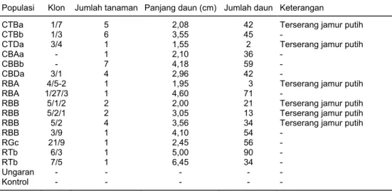 Tabel 1.  Pertumbuhan tanaman panili di Sukamulya 