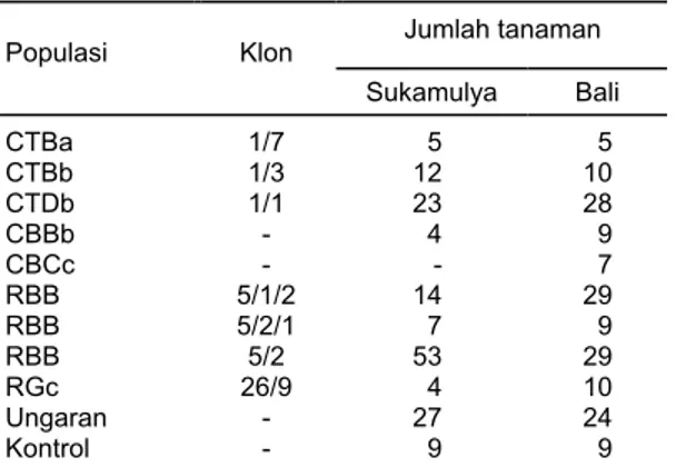 Tabel 2. Pengujian nomor-nomor panili yang tahan di  Sukamulya dan Bali 