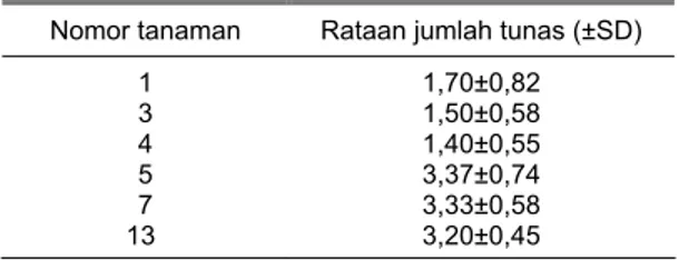 Tabel 3. Rataan jumlah tunas beberapa nomor lada  pada media MS + BA 0,3 mg/l + PVP 800 mg/l  setelah umur 2 bulan 