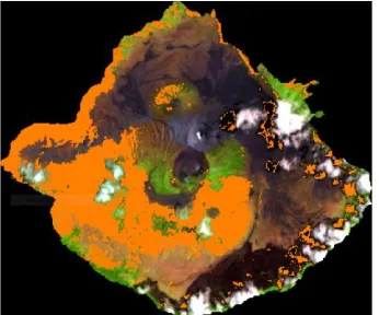 Gambar 5 . Model μ - 1σ = 0.203501 dari citra Landsat-8 