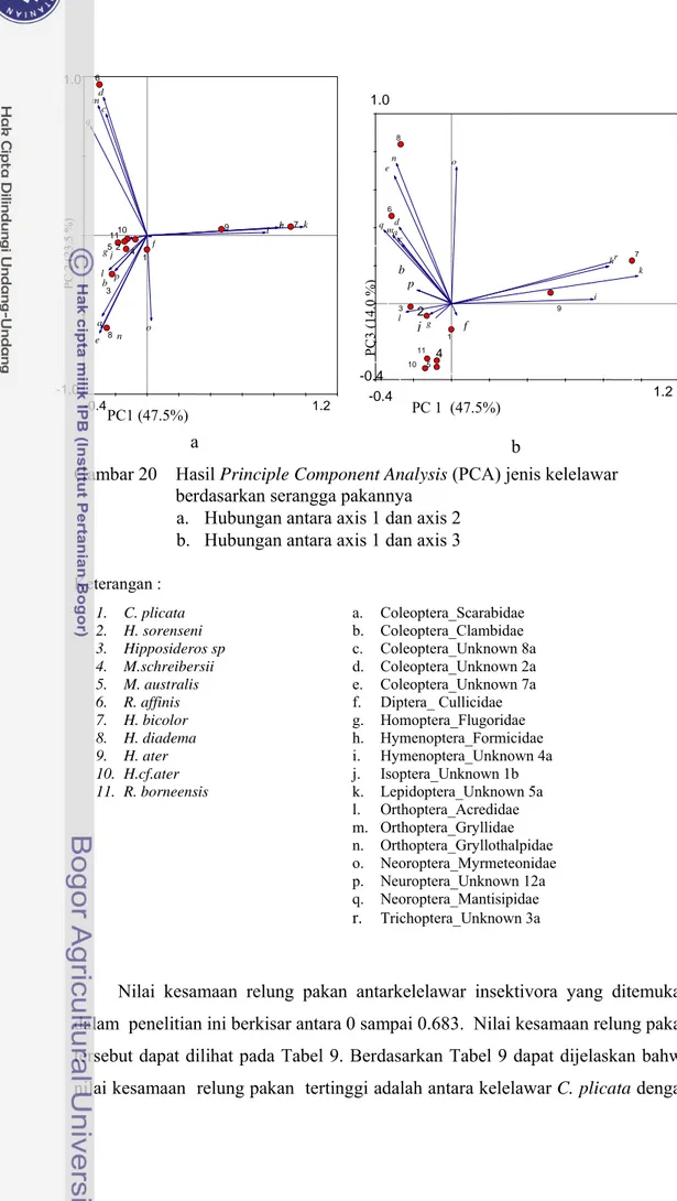 Gambar 20    Hasil Principle Component Analysis (PCA) jenis kelelawar  berdasarkan serangga pakannya 