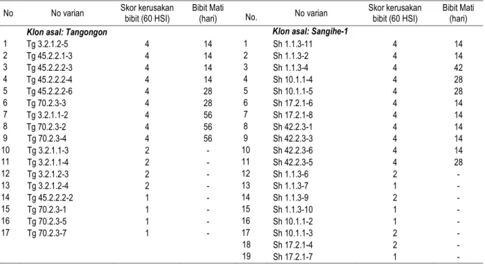 Tabel 4.  Skor kerusakan bibit dan saat bibit mati (hari) setelah inokulasi dengan  Foc isolat Banyuwangi  di rumah kaca