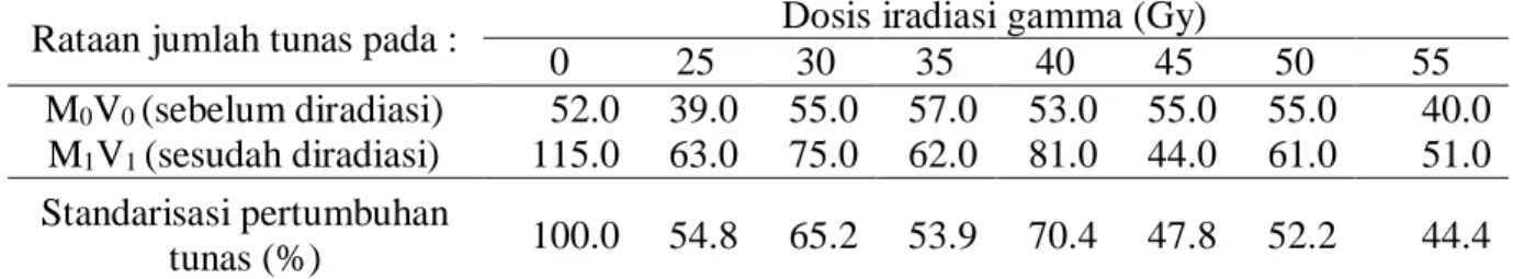 Tabel 1.    Rataan jumlah tunas pisang cv. Barangan sebelum dan sesudah diradiasi  Rataan jumlah tunas pada :  Dosis iradiasi gamma (Gy) 
