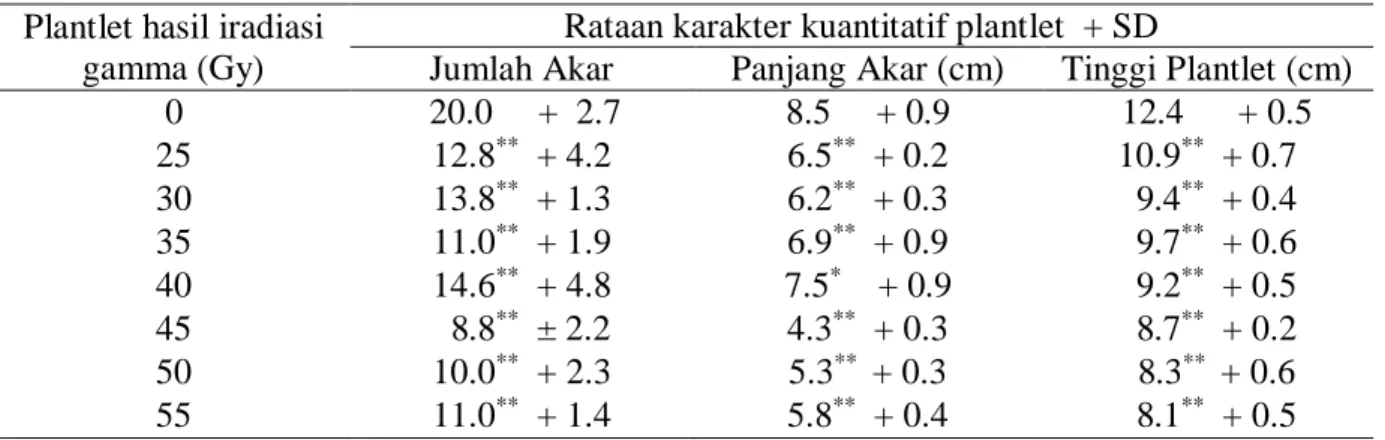 Tabel 2.   Rataan karakter pertumbuhan akar dan tinggi plantlet pisang cv. Barangan  hasil iradiasi gamma saat aklimatisasi 
