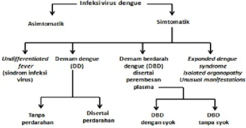 Gambar 4. Manifestasi klinis infeksi virus dengue