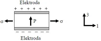Gambar 2.9. Gaya pada Arah 1 dan Elektroda pada Permukaan 3 (Kim, 2002) 